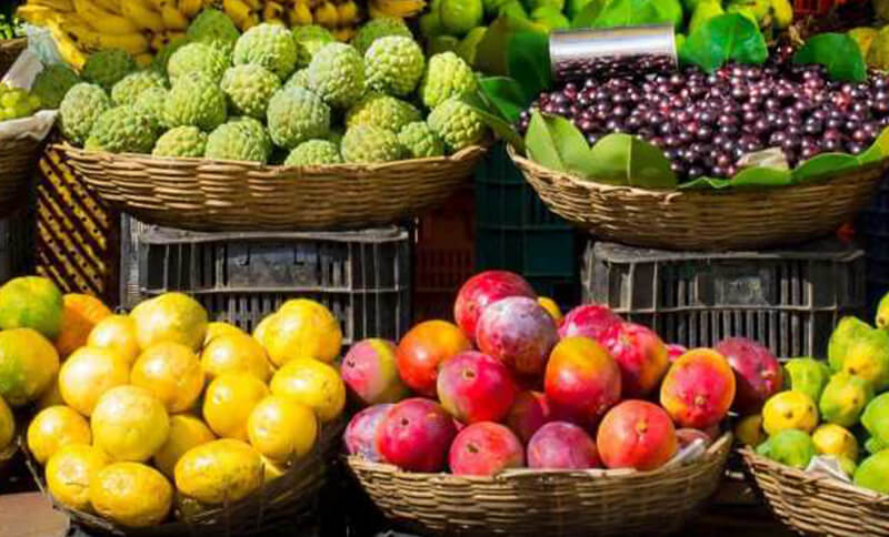 Consciência ambiental precisa ser praticada