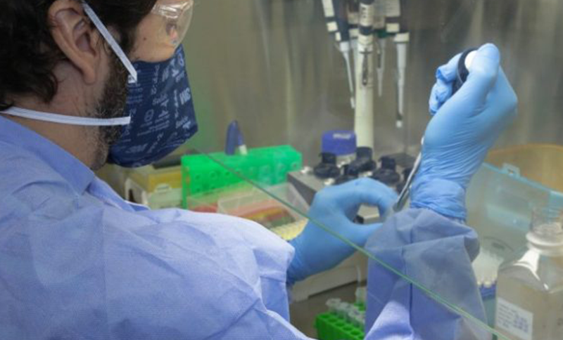 Anticorpos contra COVID-19 duram pelo menos sete meses, mostra estudo