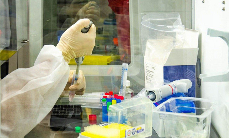 Fiocruz inicia testes com BCG para combate ao coronavírus