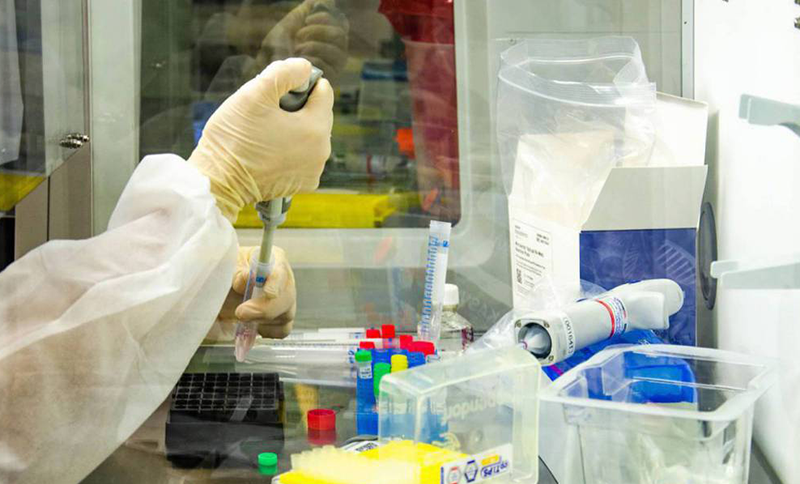 Vacina de Oxford pode sair ainda esse ano