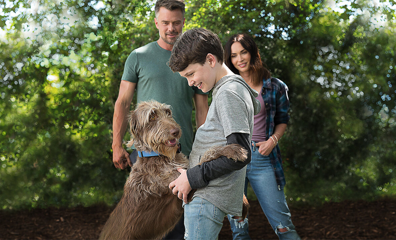 Infantil – Uma Mente Canina | Netflix