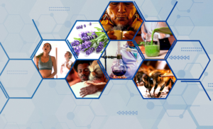 Documentário – A indústria da Cura