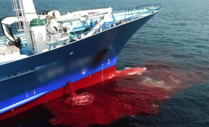 Documentário – Seaspiracy: Mar Vermelho