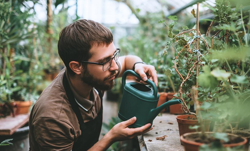 Como um hobby pode contribuir para o bem-estar?