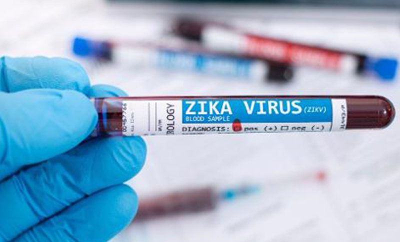 Vírus da Zika pode ajudar a tratar tumores cerebrais