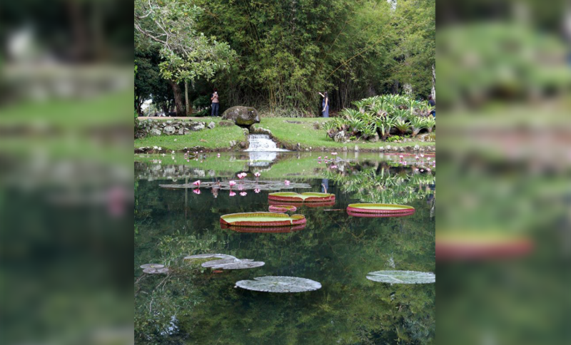 Um passeio pela Trilha do Patrimônio, novidade no Jardim Botânico