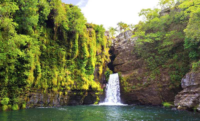 Pós-covid: Brasileiros desejam viajar de forma mais sustentável no futuro