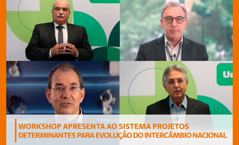 Workshop apresenta ao Sistema projetos determinantes para para evolução do intercâmbio nacional