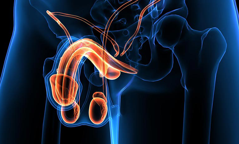 Higiene precária é a principal causa do câncer de pênis