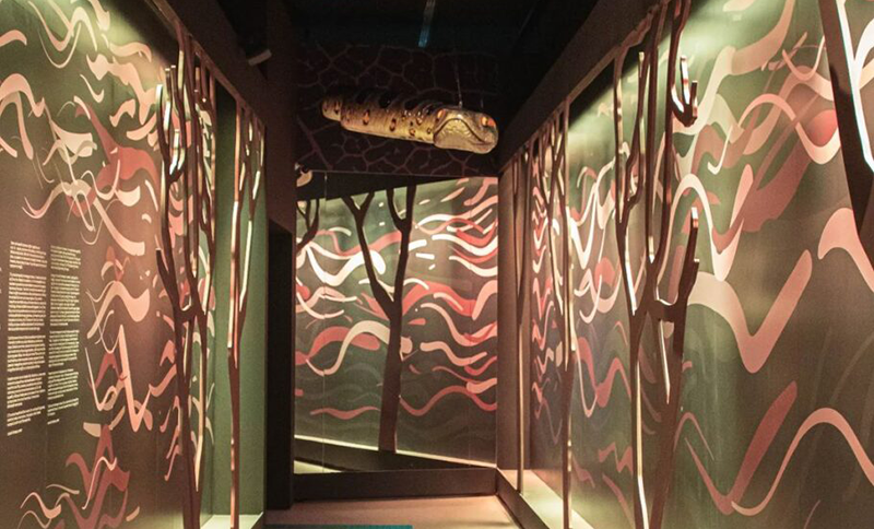 Museu do Amanhã em 2022 enaltece a ciência, a educação e a democracia