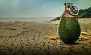 Documentário – Rotten