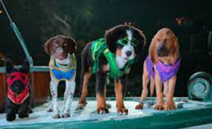 Infantil – Supercães