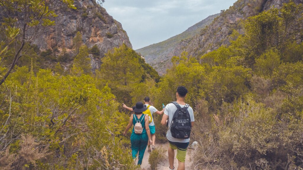 Parques estaduais no RJ com trilhas, cachoeiras e praias 