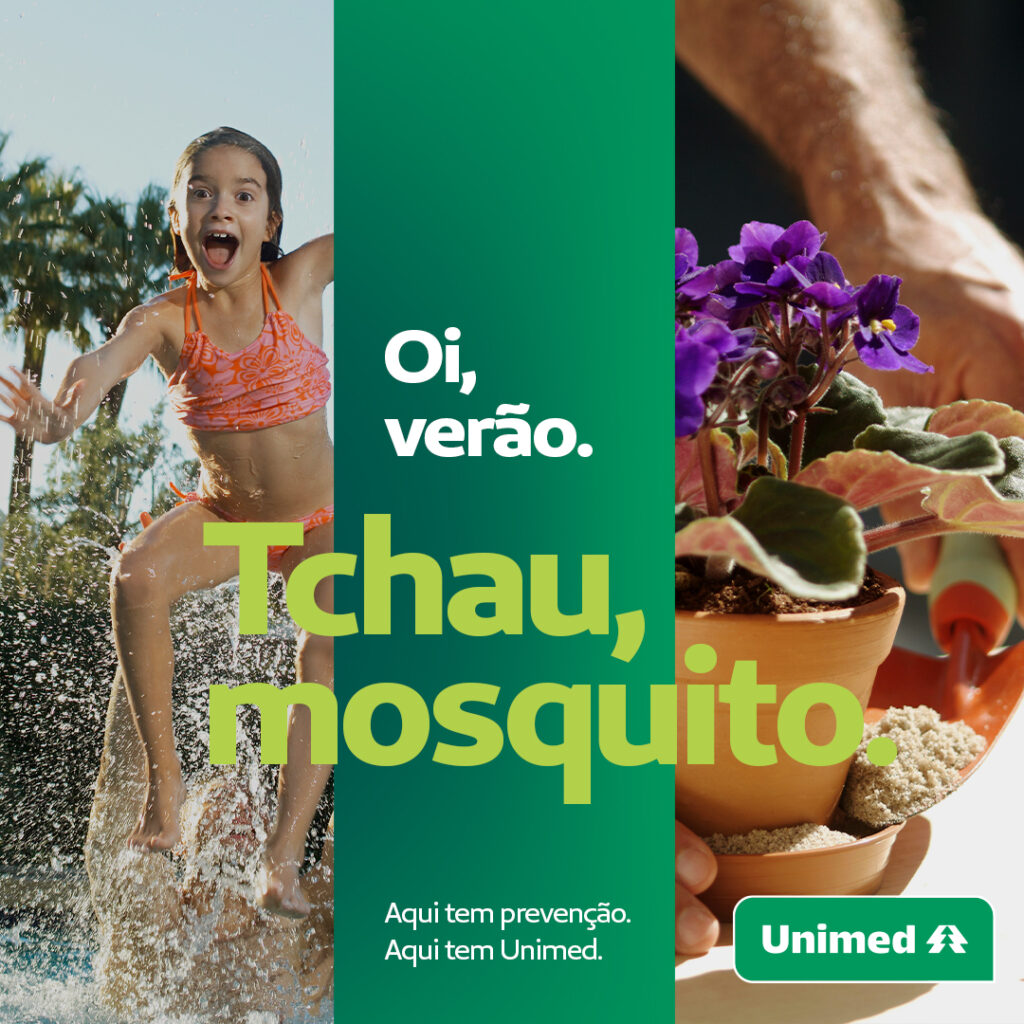 Arboviroses: Oi, verão. Tchau, mosquito 